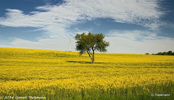 Wetter-Bild (Foto: Gernot Thelemann) Wetter-Bild (Foto: Gernot Thelemann)