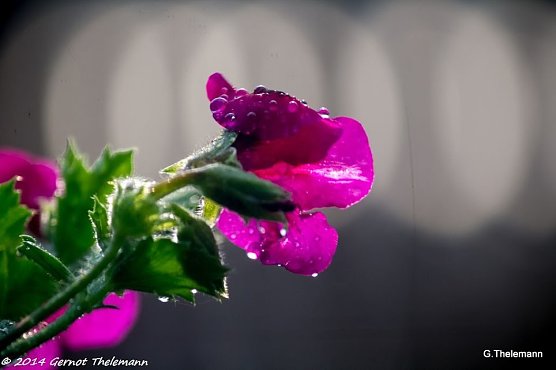 Wetter-Bild (Foto: Gernot Thelemann)