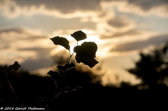 Wetter-Bild (Foto: Gernot Thelemann)