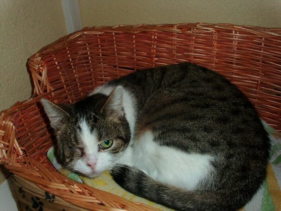 lilly (Foto: Karin Ziegler)