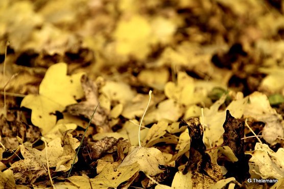 Wetter-Bild (Foto: Gernot Thelemann)