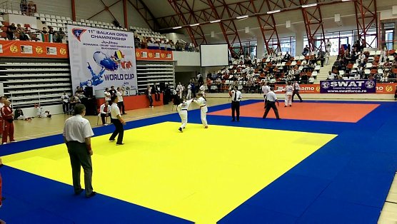 World Cup (Foto: Gerald Eckert)