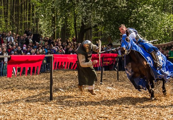 Ritterturnier (Foto: Fabian von Berlepsch)