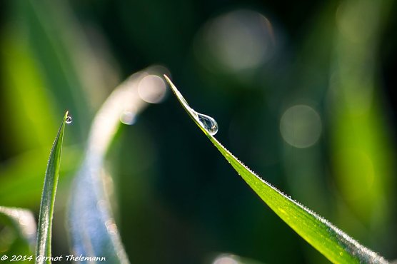 Wetterbild (Foto: Gernot Thelemann) Wetterbild (Foto: Gernot Thelemann)
