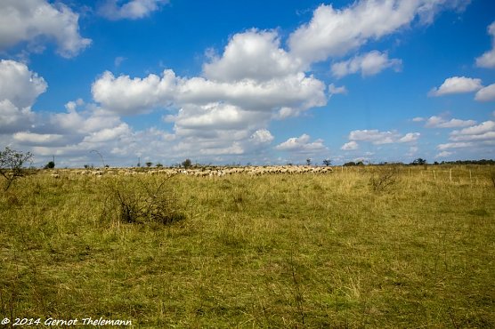 Wetterbild (Foto: Gernot Thelemann) Wetterbild (Foto: Gernot Thelemann)