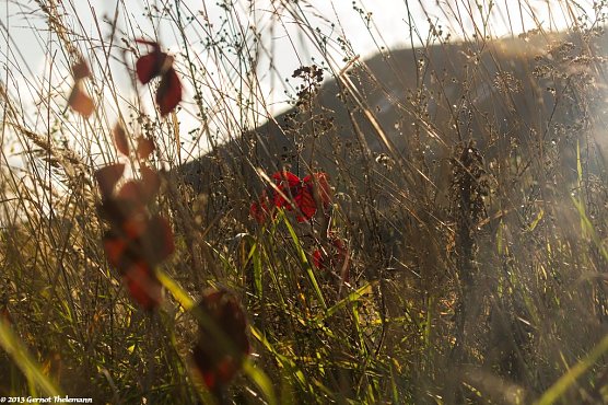 Wetter-Bild (Foto: Gernot Thelemann) Wetter-Bild (Foto: Gernot Thelemann)