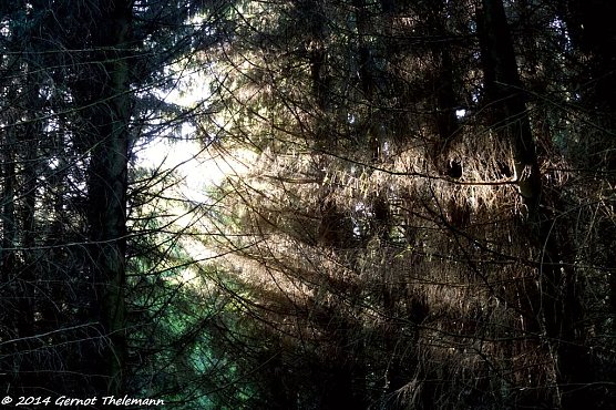 Wetterbild (Foto: Gernot Thelemann) Wetterbild (Foto: Gernot Thelemann)