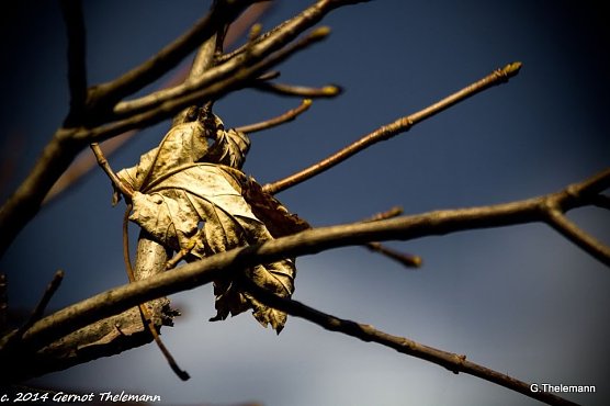 Wetter-Bild (Foto: Gernot Thelemann)
