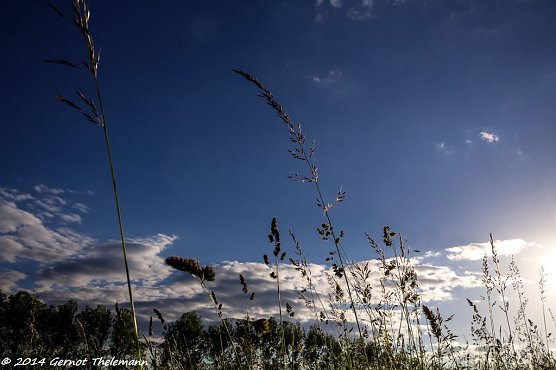 Wetter-Bild (Foto: ger) Wetter-Bild (Foto: ger)