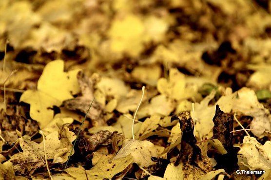 Wetterbild (Foto: Gernot Thelemann) Wetterbild (Foto: Gernot Thelemann)