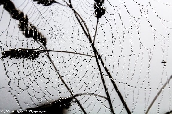 Wetter-Bild (Foto: Gernot Thelemann)