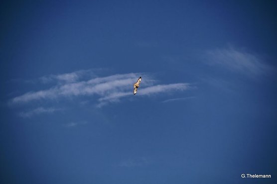 Wetter-Bild (Foto: Gernot Thelemann) Wetter-Bild (Foto: Gernot Thelemann)