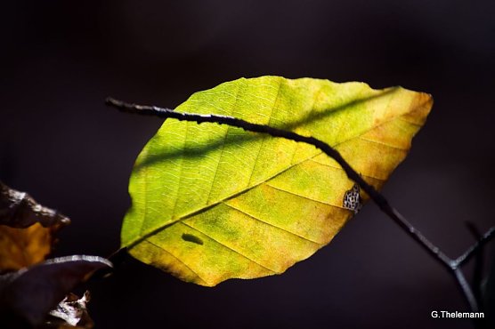 Wetterbild (Foto: Gernot Thelemann) Wetterbild (Foto: Gernot Thelemann)