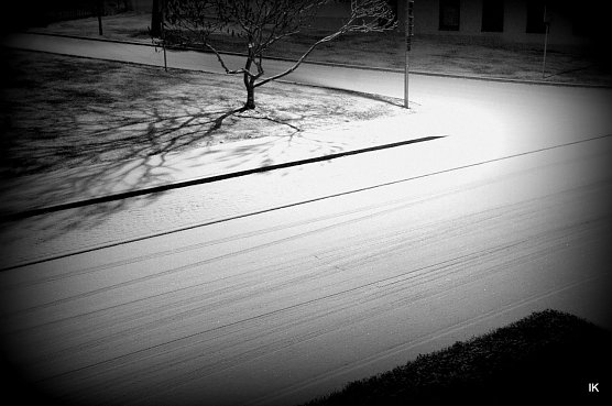 Schnee (Foto: Ilka K&uuml;hn)