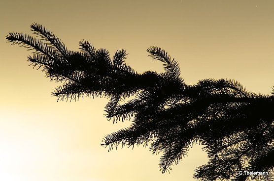 Wetterbild (Foto: Gernot Thelemann) Wetterbild (Foto: Gernot Thelemann)