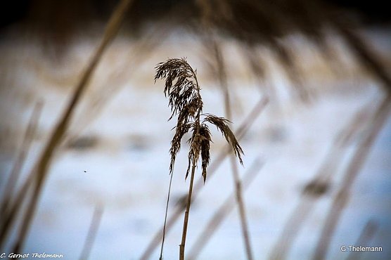 Wetter-Bild (Foto: Gernot Thelemann)