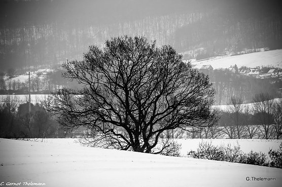 Wetterbild (Foto: Gernot Thelemann)