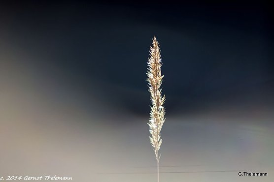 Wetterbild (Foto: Gernot Thelemann) Wetterbild (Foto: Gernot Thelemann)