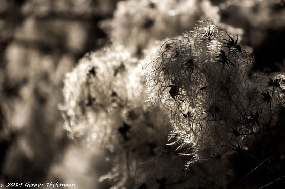 Wetter-Bild (Foto: Gernot Thelemann) Wetter-Bild (Foto: Gernot Thelemann)