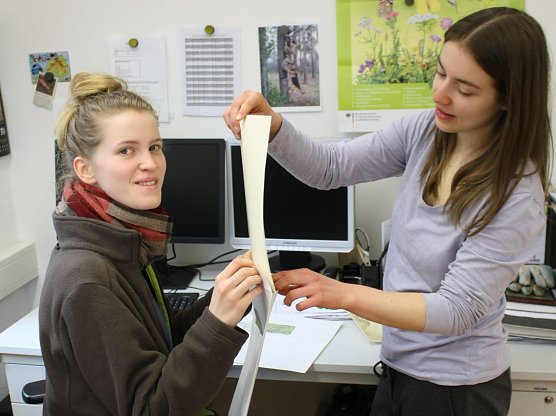 Versendung der Gewinnerbriefe (Foto: Uwe M&uuml;ller)