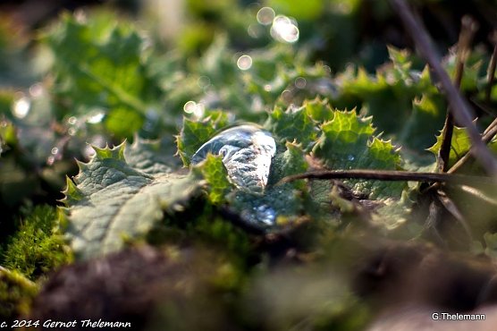 Wetterbild (Foto: Gernot Thelemann)