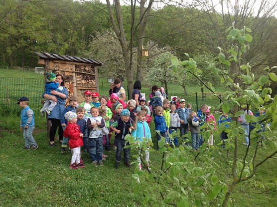 Insektenhotel in Geisleden (Foto: Pfr. Haase)