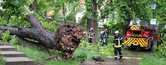 Feuerwehreinsatz (Foto: Feuerwehr Heiligenstadt)
