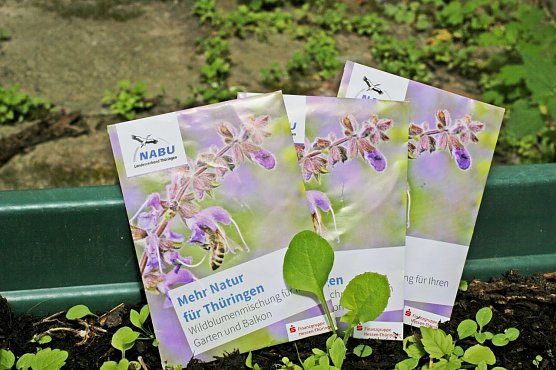 Mehr Natur f&uuml;r Th&uuml;ringen - der NABU will zum Geburtstag 10.000 T&uuml;ten voller Wildblumensamen verteilen (Foto: NABU Th&uuml;ringen)