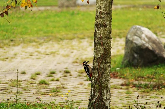 Wetterbild (Foto: Gernot Thelemann) Wetterbild (Foto: Gernot Thelemann)