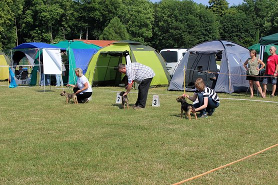 Auf dem Possen bellt es (Foto: Karl-Heinz Herrmann) Auf dem Possen bellt es (Foto: Karl-Heinz Herrmann)