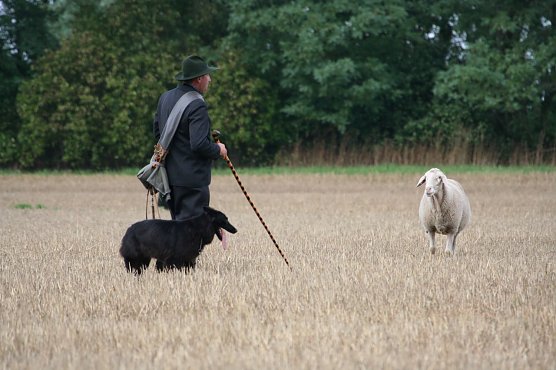Leistungshüten (Foto: Christoph Neumann) Leistungshüten (Foto: Christoph Neumann)