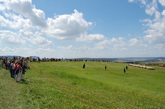 Leistungshüten (Foto: Christoph Neumann) Leistungshüten (Foto: Christoph Neumann)