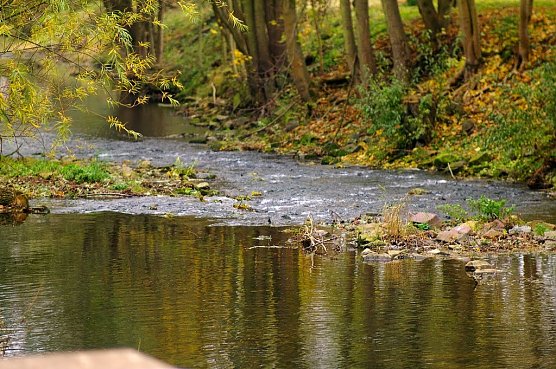 Zorge am Nordh&auml;user Stadtpark (Foto: Gernot Thelemann)