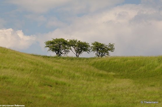 Wetterbild (Foto: Gernot Thelemann) Wetterbild (Foto: Gernot Thelemann)