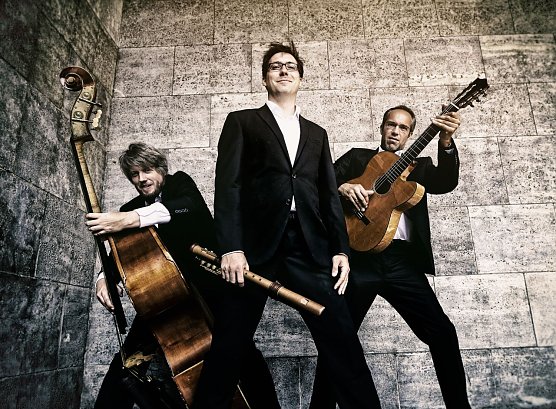 Wildes Holz (Foto: Agentur)