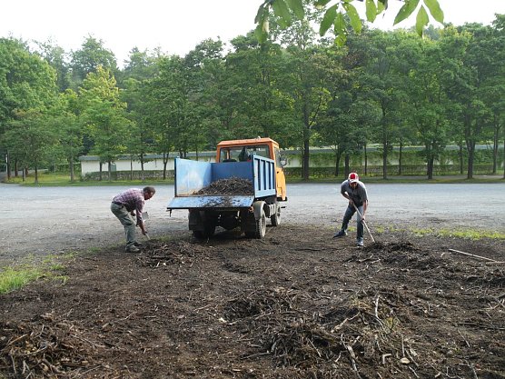 Holzberäumung (Foto: Ilka Kühn) Holzberäumung (Foto: Ilka Kühn)