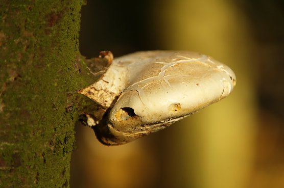 Wetterbild (Foto: Gernot Thelemann)