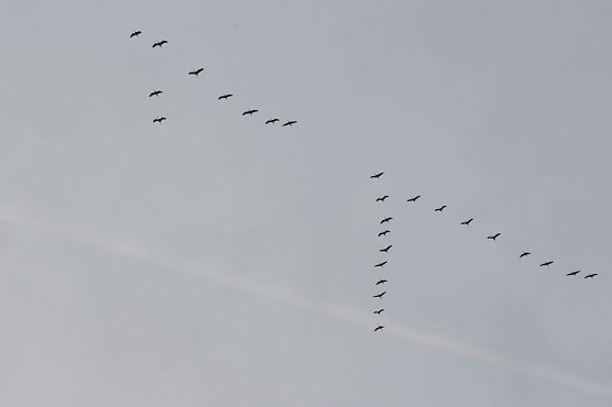 Wetterbild (Foto: Angelo Glashagel) Wetterbild (Foto: Angelo Glashagel)