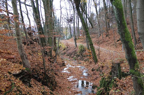 Wetterbild (Foto: Angelo Glashagel)