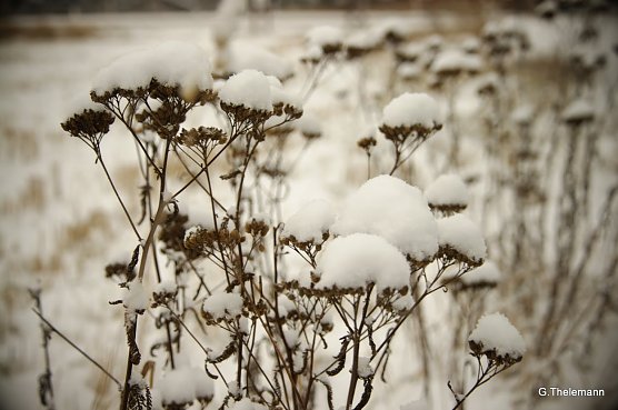 Wetter-Bild (Foto: Gernot Thelemann)