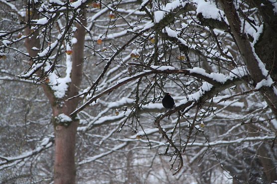 Wetterbild (Foto: Angelo Glashagel) Wetterbild (Foto: Angelo Glashagel)