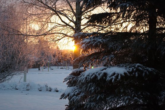 Wetter-Bild (Foto: Gernot Thelemann)
