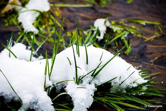 Wetterbild (Foto: Gernot Thelemann) Wetterbild (Foto: Gernot Thelemann)