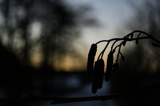 Wetterbild (Foto: Gernot Thelemann)