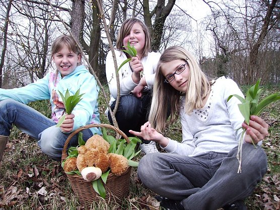 B&auml;rlauchwanderung (Foto: Uwe M&uuml;ller)