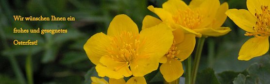 Ostergruß (Foto: Ilka Kühn) Ostergruß (Foto: Ilka Kühn)