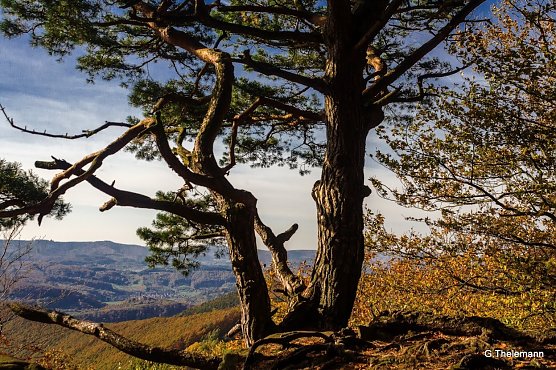 Wetterbild (Foto: Gernot Thelemann) Wetterbild (Foto: Gernot Thelemann)