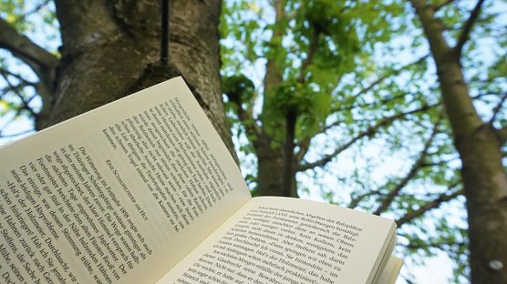 Zum Tag des Buches (Foto: Daniela Troegerx)