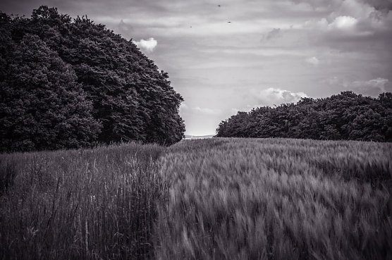 Wetterbild (Foto: Gernot Thelemann)