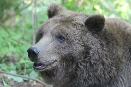 Conny (Foto: Ralf Wettengel)